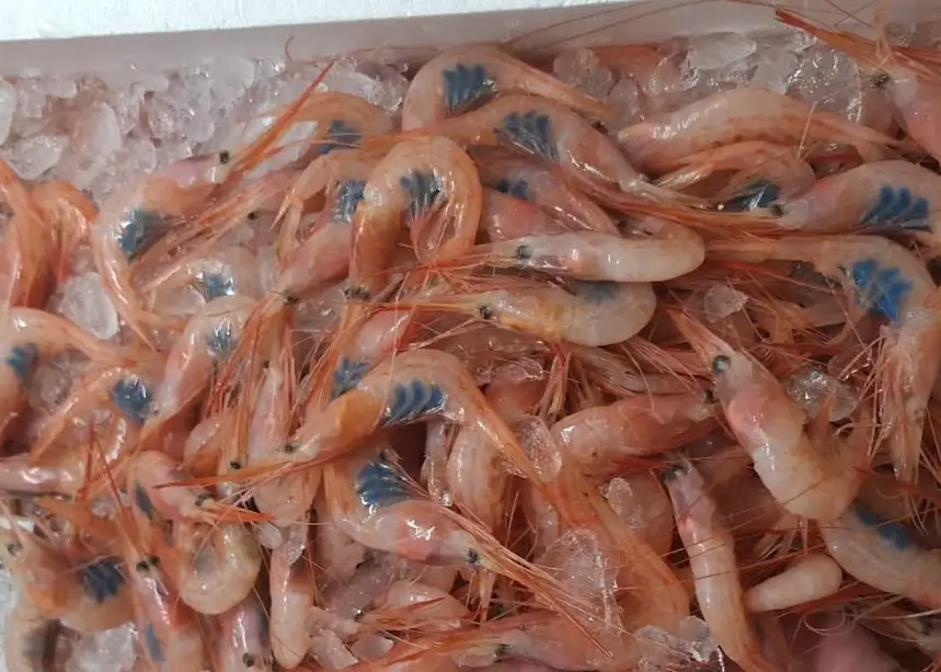 Gastronomía Don Pepe