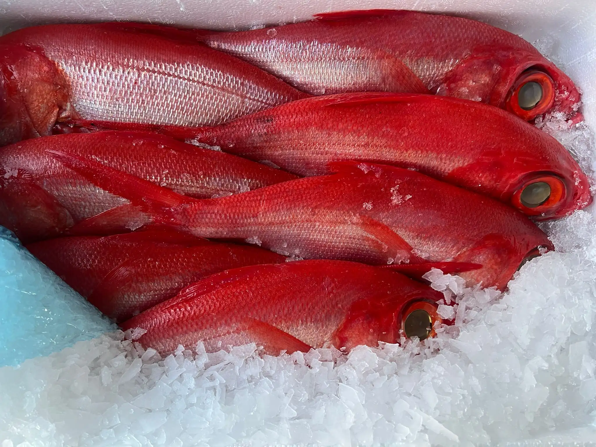 Gastronomía Don Pepe