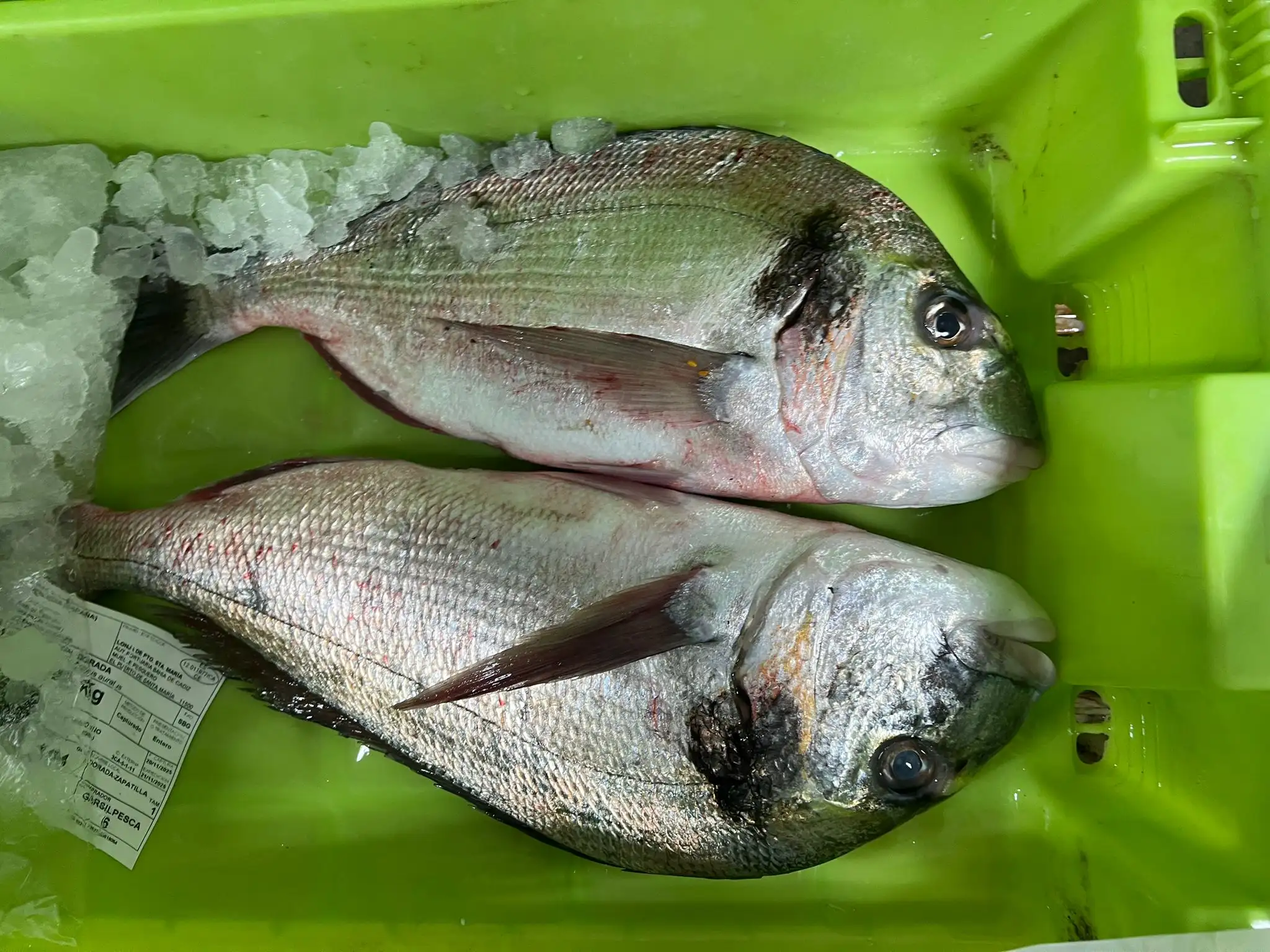 Gastronomía Don Pepe