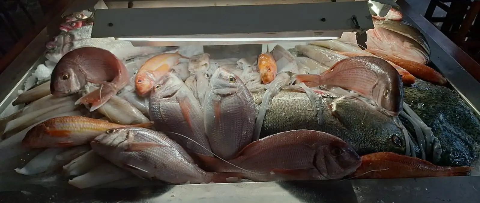 Gastronomía Don Pepe