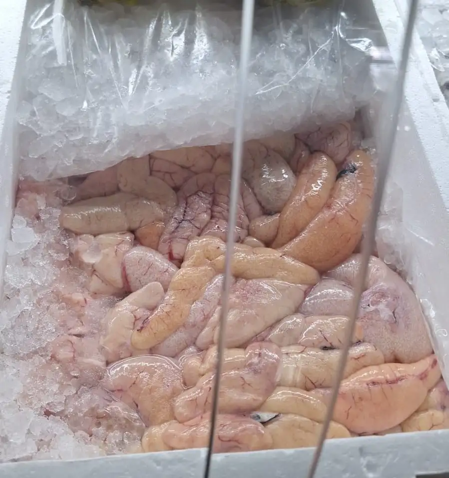 Gastronomía Don Pepe