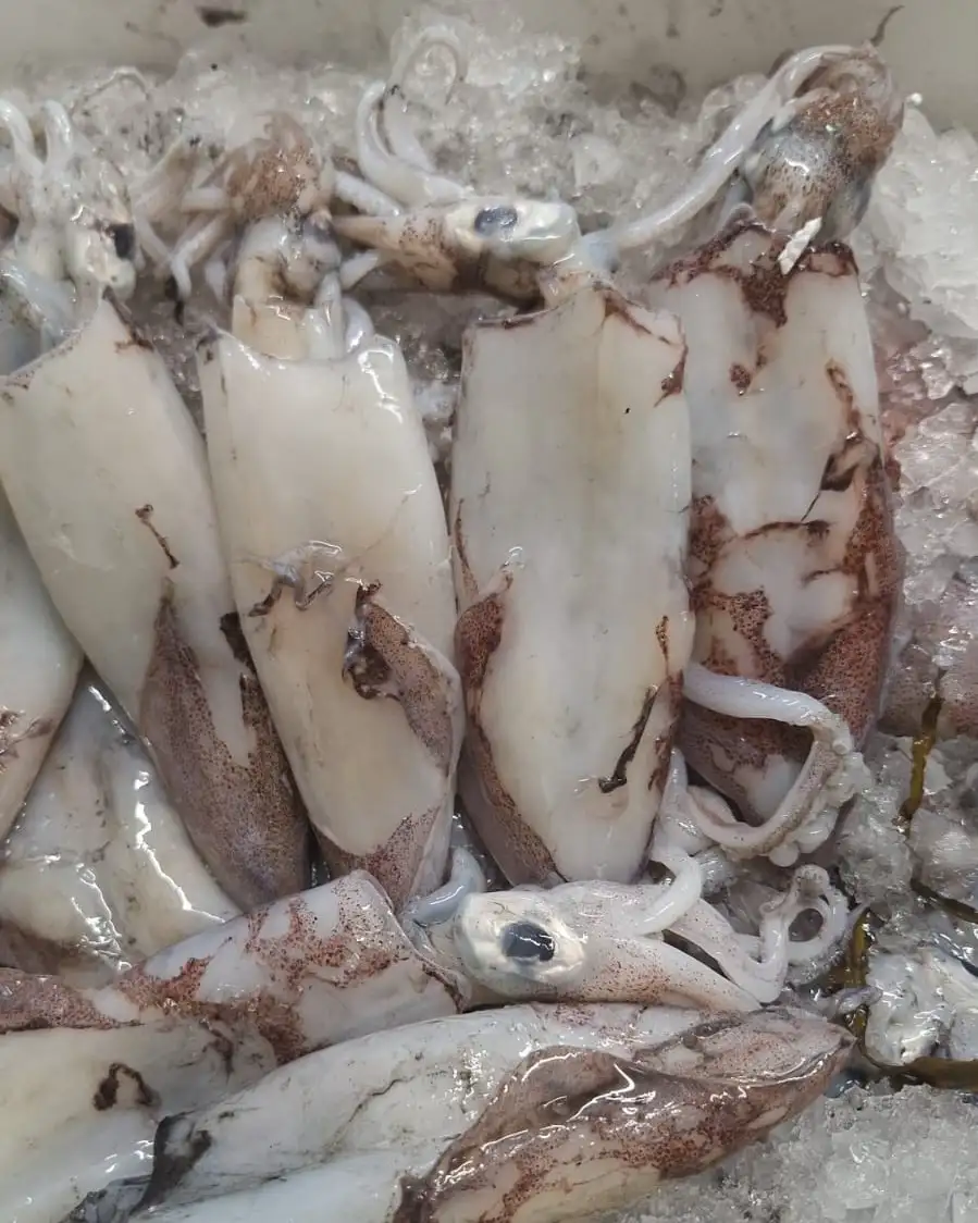 Gastronomía Don Pepe